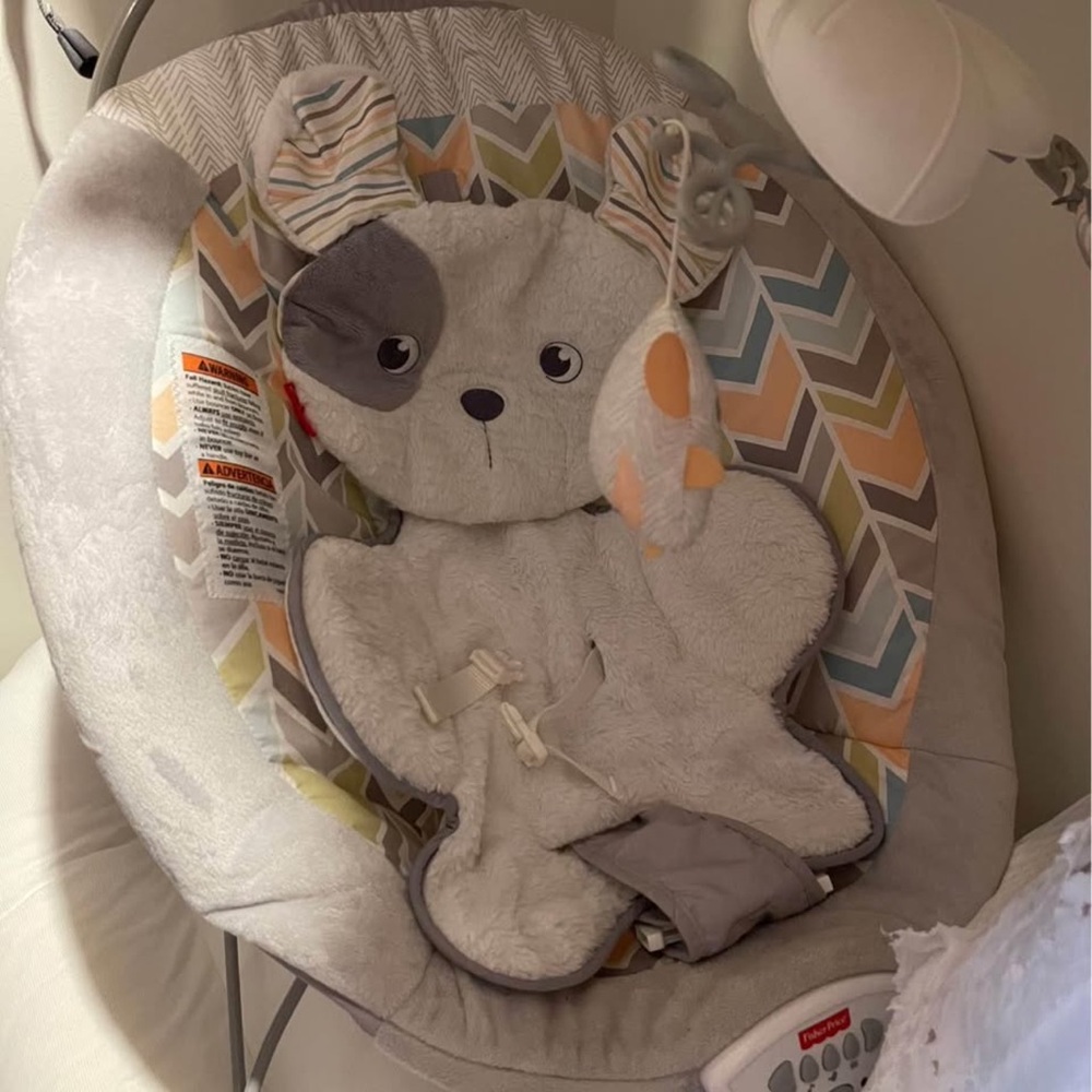 Cozy Gray Baby Bouncer with Chevron Pattern